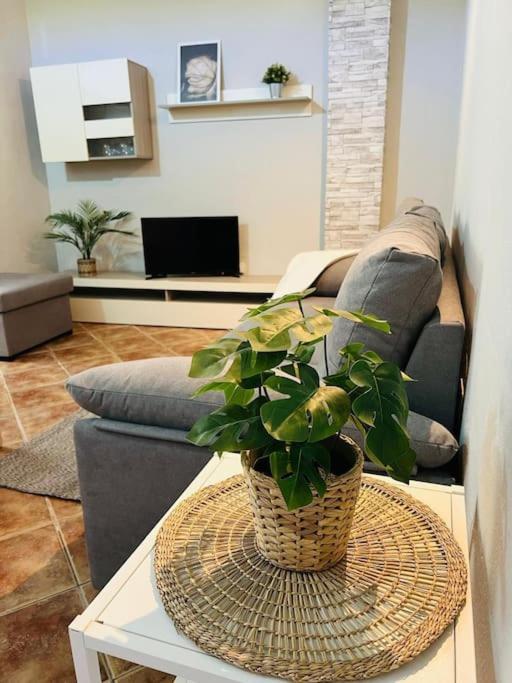 Casa El Pino B Apartman Vera de Erque Kültér fotó